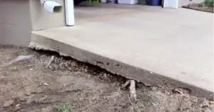 Concrete or pavers for your driveway