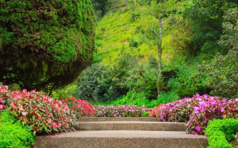 Elegant Walkways to Enhance Your Curb Appeal