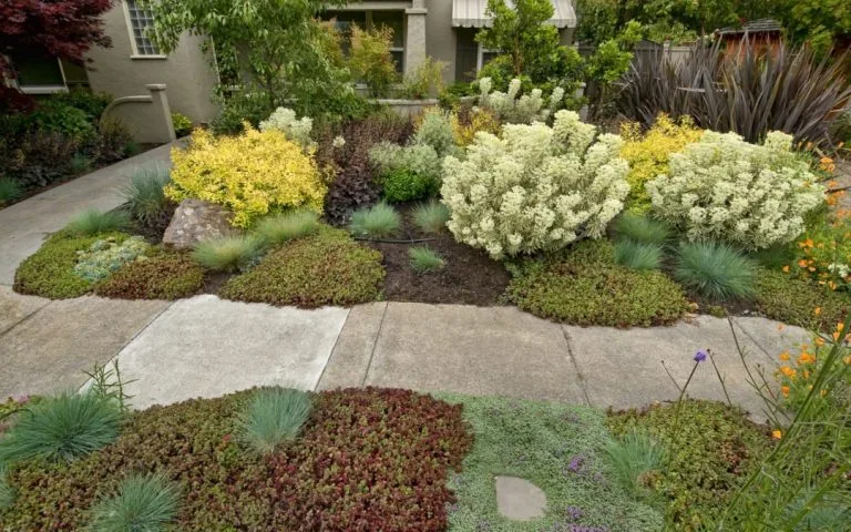 10 Creative Ideas For Your New Paver Walkway