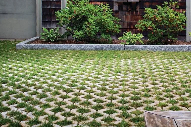 The Best Plants To Use Between The Joints Of Walkway Pavers