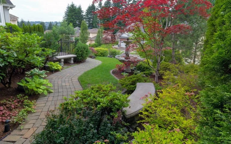 How to Choose Beautiful Plants Between Pavers