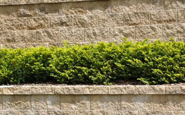 Understanding Retaining Wall Construction and Importance
