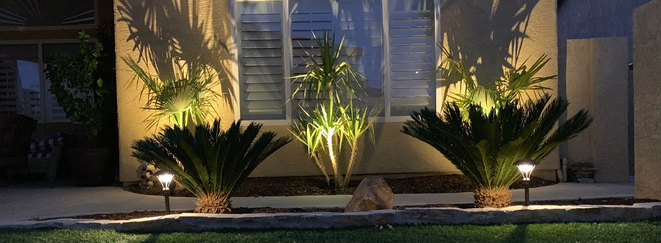 Outdoor Bluetooth landscape lighting in Dublin, CA.